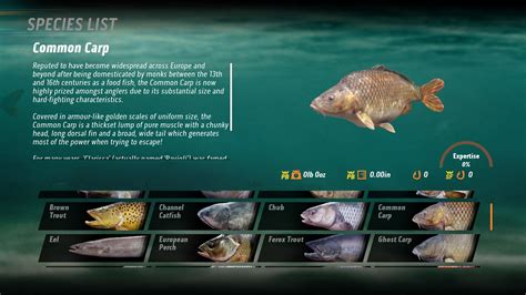 carp fishing games|The Catch: Carp & Coarse Fishing on Steam.